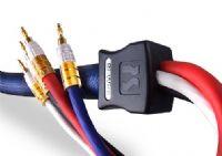 PS Audio statement bi-wire speaker cables